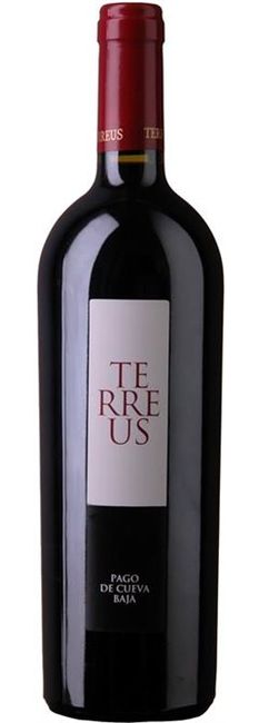 Image of Bodegas Mauro Terreus Castilla y Leon - 150cl - Duero-Tal (Castilla y Leon), Spanien bei Flaschenpost.ch