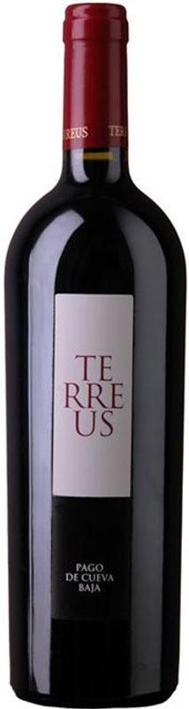 Image of Bodegas Mauro Terreus Castilla y Leon - 150cl - Duero-Tal (Castilla y Leon), Spanien