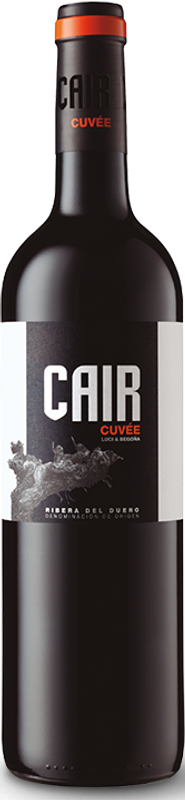 Flasche Cair Cuvée von Dominio de Cair