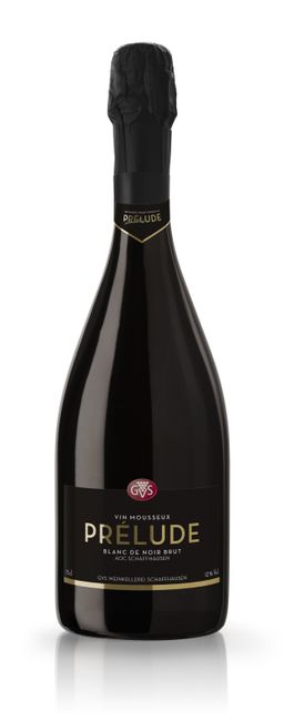 Image of GVS Schachenmann Prelude Vin Mousseux Blanc de Noir - 75cl - Schaffhausen, Schweiz bei Flaschenpost.ch