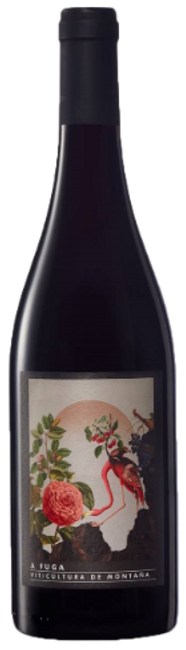 Image of Abadía Da Cova A Fuga tinto Ribeira Sacra DO - 75cl - Galizien, Spanien bei Flaschenpost.ch