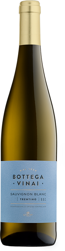 Bouteille de Sauvignon blanc Trentino DOC Bottega Vinai de Cavit