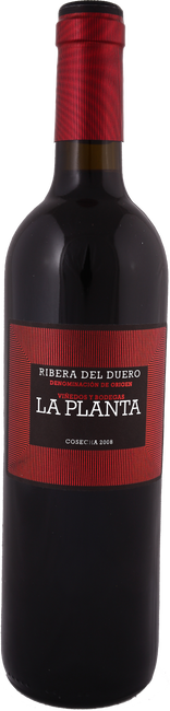 Image of Bodegas Arzuaga Navarro La Planta Ribera del Duero DO - 150cl - Duero-Tal (Castilla y Leon), Spanien bei Flaschenpost.ch