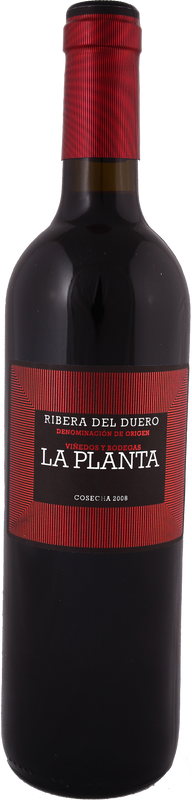 Flasche La Planta Ribera del Duero DO von Bodegas Arzuaga Navarro