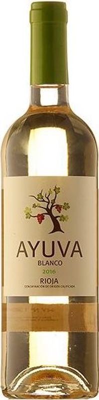 Bottle of Ayuva white DOCa from Viñedos de Páganos