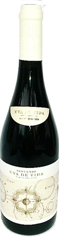 Image of Carmen López Delgado i Luis Ruiz Martin Septenio - 75cl - Meseta, Spanien