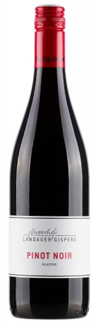 Image of Winzerhof Landauer-Gisperg Pinot noir - 75cl - Thermenregion, Österreich bei Flaschenpost.ch