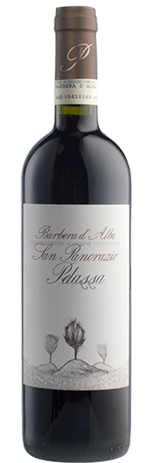 Image of Azienda vitivinicola Mario Pelassa San Pancrazio Barbera d'Alba DOC - 75cl - Piemont, Italien bei Flaschenpost.ch