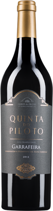 Bottle of Piloto Garrafeira from Quinta do Piloto