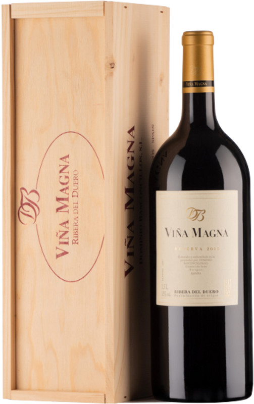 Bottle of Vina Magna Ribera del Duero Reserva DOP from Dominio Basconcillos