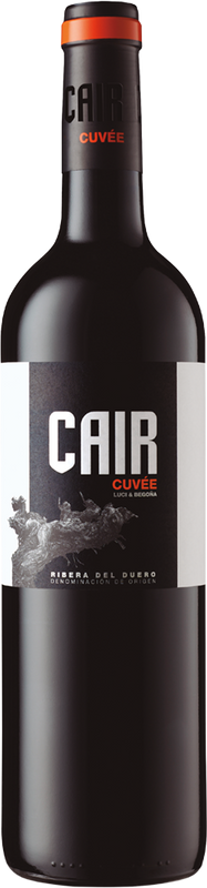 Bottiglia di Cair Cuvée di Dominio de Cair
