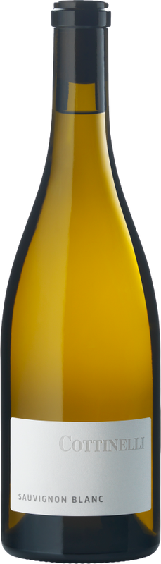 Flasche Sauvignon Blanc Maienfeld AOC von Cottinelli