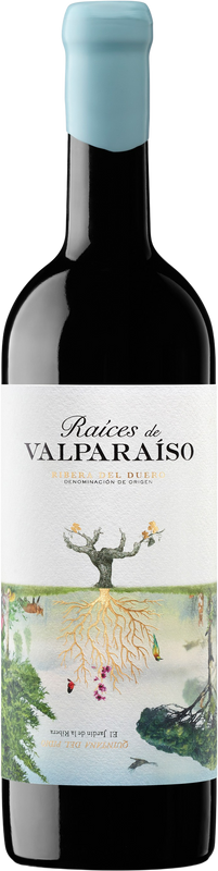 Bottle of Raices De Valparaiso Do from Bodegas Valparaiso