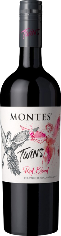 Bottle of Twins DO from Bodegas Montes