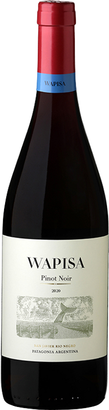Bottle of Wapisa Pinot Noir from Bodega Tapiz