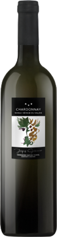 Flasche Chardonnay AOC du Valais Barrique von Jacques Germanier