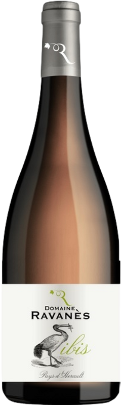 Bottle of L'Ibis Blanc VDP C.d.Murviel from Domaine de Ravanès