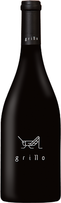 Flasche Somontano DO Hop Hop tinto von Bodegas El Grillo y la Luna