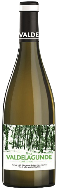 Image of Pedro Escudero Finca Valdelagunde Cuvee Especial DO - 150cl - Duero-Tal (Castilla y Leon), Spanien bei Flaschenpost.ch