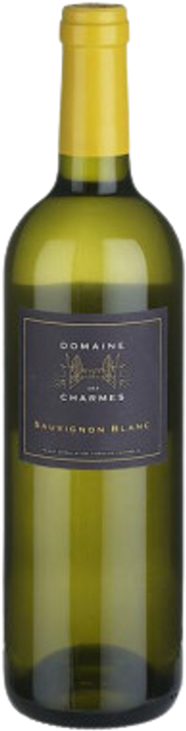 Bottiglia di Côteau de Peissy AOC Sauvignon Blanc 1er Cru di Domaine des Charmes