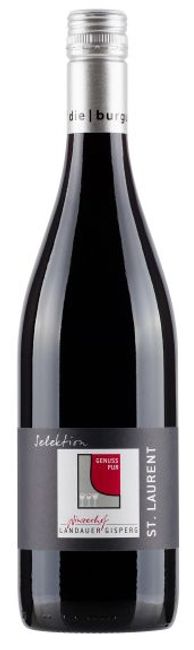 Image of Winzerhof Landauer-Gisperg St. Laurent Selektion Thermenregion - 75cl - Thermenregion, Österreich bei Flaschenpost.ch