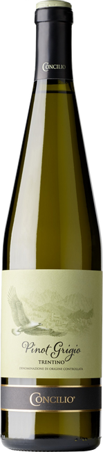 Image of Concilio Nativi Pinot Grigio Trentino DOC - 75cl - Trentino, Italien bei Flaschenpost.ch