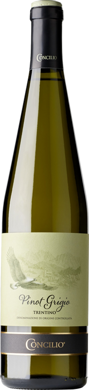 Bottle of Nativi Pinot Grigio Trentino DOC from Concilio
