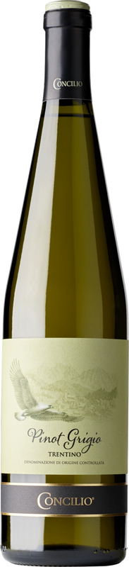 Bouteille de Nativi Pinot Grigio Trentino DOC de Concilio