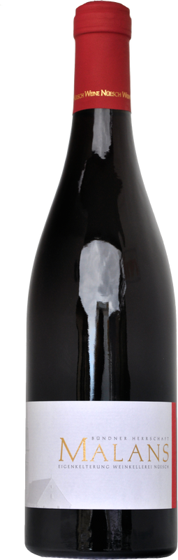 Bottiglia di Malans Pinot Noir - Bündner Herrschaft AOC di Nüesch