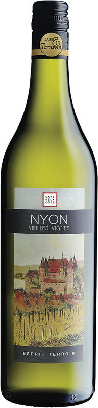 Bottiglia di Noyn Vieilles Vignes Terravin di Cave de la Côte