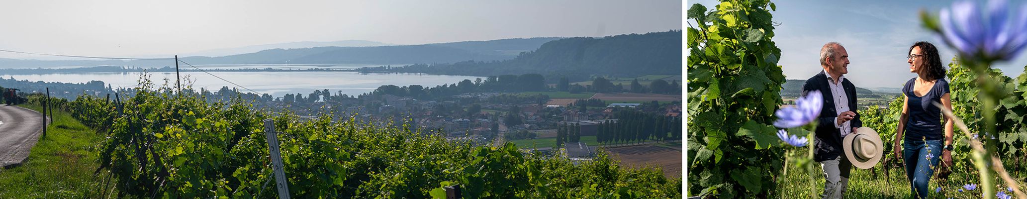 Vieilles Vignes Chardonnay Neuchâtel AOC