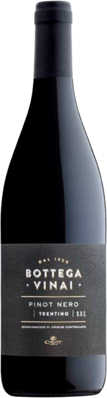 Bottiglia di Pinot Nero Trentino DOC Bottega Vinai di Cavit