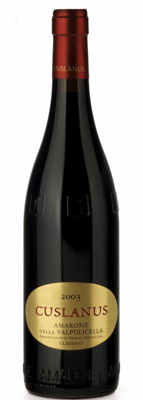 Bottle of Amarone Cuslanus Valpolicella Classico DOC from Albino Armani