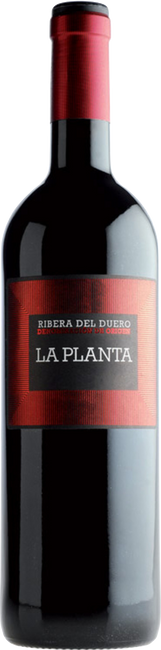 Image of Bodegas Arzuaga Navarro La Planta Ribera del Duero DO - 75cl - Duero-Tal (Castilla y Leon), Spanien bei Flaschenpost.ch