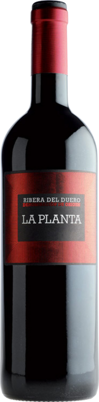 Flasche La Planta Ribera del Duero DO von Bodegas Arzuaga Navarro