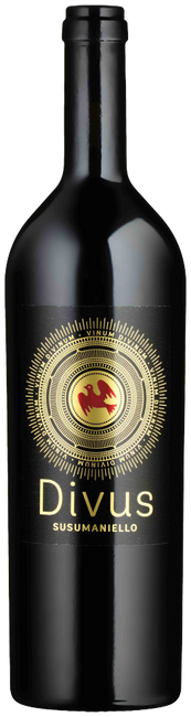 Image of Compagnia Mediterranea DIVUS Susumaniello Salento IGP - 75cl - Apulien, Italien bei Flaschenpost.ch