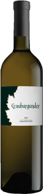 Image of Komminoth Weine Maienfelder Grauburgunder Graubünden AOC - 75cl - Bündner Herrschaft, Schweiz bei Flaschenpost.ch