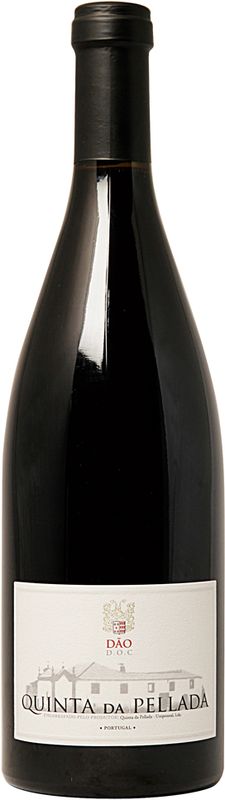 Bottle of Dao DOC Quinta da Pellada from Alvaro Castro