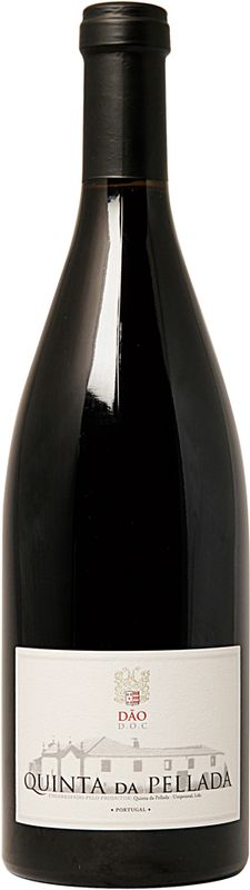 Flasche Dao DOC Quinta da Pellada von Alvaro Castro