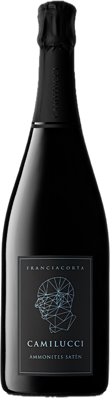 Bottle of Ammonites Saten Franciacorta Brut DOCG from Camilucci