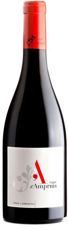 Bottle of Syrah & Garnacha Bajo Aragòn IGP from Lagar d'Amprius