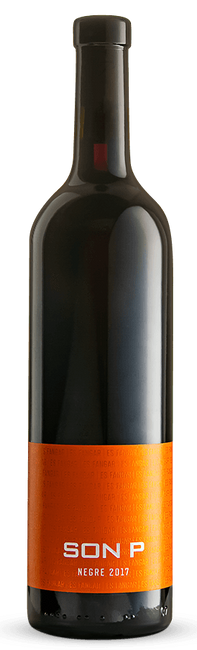 Image of Es Fangar Vins Son P. - 75cl - Balearen, Spanien bei Flaschenpost.ch