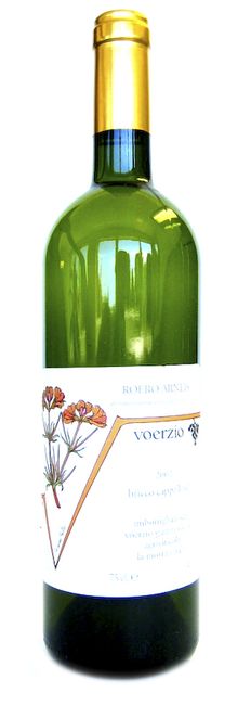 Image of Gianni Voerzio Langhe Arneis Bricco Cappellina DOC - 75cl - Piemont, Italien bei Flaschenpost.ch