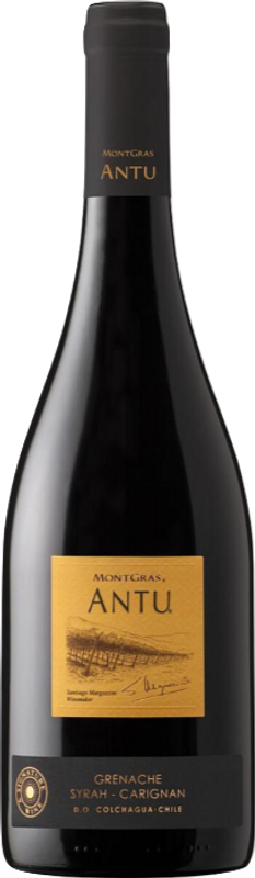 Bouteille de Antu Syrah Mountain Vineyard of Colchagua Valley de Montgras