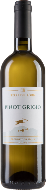 Image of Cantine Monfort Terre del Föhn Pinot Grigio Vigna delle Dolomiti IGT - 75cl - Trentino, Italien bei Flaschenpost.ch