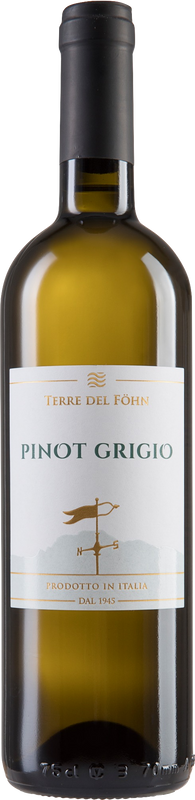 Bottiglia di Terre del Föhn Pinot Grigio Vigna delle Dolomiti IGT di Cantine Monfort
