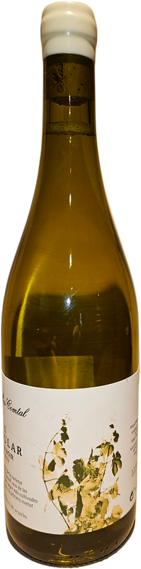 Bottle of Gran Angular Blanc De Noir DO Penedes from Mas Comtal