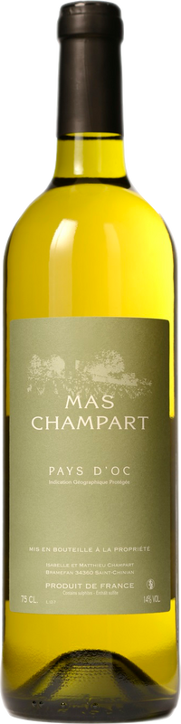 Flasche Blanc Terret Mas Champart IGP von Isabelle & Matthieu Champart