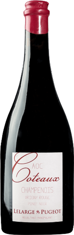 Flasche Coteaux Champenois Vrigny Rouge von Lelarge-Pugeot