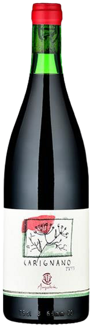 Image of Ampeleia Carignano IGT Costa Toscana Rosso Bio - 75cl - Toskana, Italien bei Flaschenpost.ch